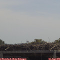 12_05-mast.jpg