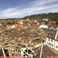 12_05-nest.jpg