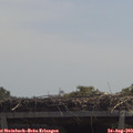 12_10-mast.jpg