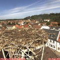 12_10-nest.jpg