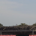 12_15-mast.jpg