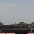 12_20-mast.jpg