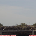 12_25-mast.jpg