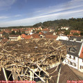 12_25-nest.jpg