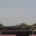 12_30-mast.jpg