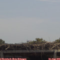 12_35-mast.jpg