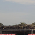 12_40-mast.jpg