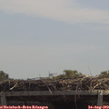 12_45-mast.jpg