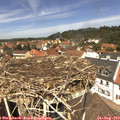 12_45-nest.jpg
