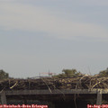 12_55-mast.jpg