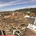 12_55-nest.jpg
