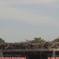 13_00-mast.jpg