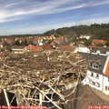 13_00-nest.jpg