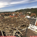 13_05-nest.jpg
