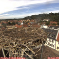 13_10-nest.jpg