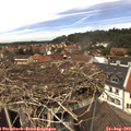 13_15-nest.jpg