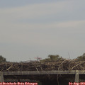 13_20-mast.jpg