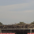 13_25-mast.jpg