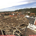 13_25-nest.jpg