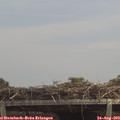 13_30-mast.jpg