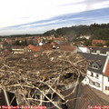 13_30-nest.jpg