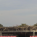 13_35-mast.jpg