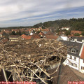 13_35-nest.jpg