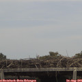 13_40-mast.jpg