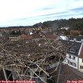 13_40-nest.jpg