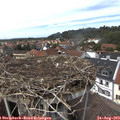 13_45-nest.jpg