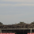 13_50-mast.jpg
