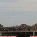 14_00-mast.jpg