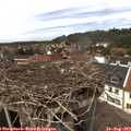 14_00-nest.jpg