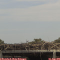 14_05-mast.jpg