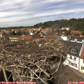 14_05-nest.jpg