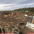 14_10-nest.jpg