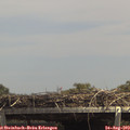 14_15-mast.jpg