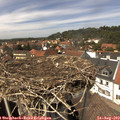 14_15-nest.jpg