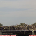 14_20-mast.jpg