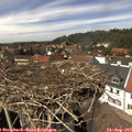 14_20-nest.jpg