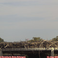 14_25-mast.jpg