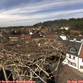 14_25-nest.jpg