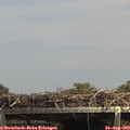 14_30-mast.jpg