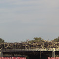 14_35-mast.jpg