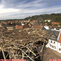14_35-nest.jpg