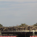 14_40-mast.jpg