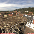 14_40-nest.jpg