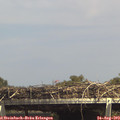 14_50-mast.jpg