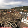 14_50-nest.jpg