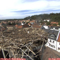 14_55-nest.jpg